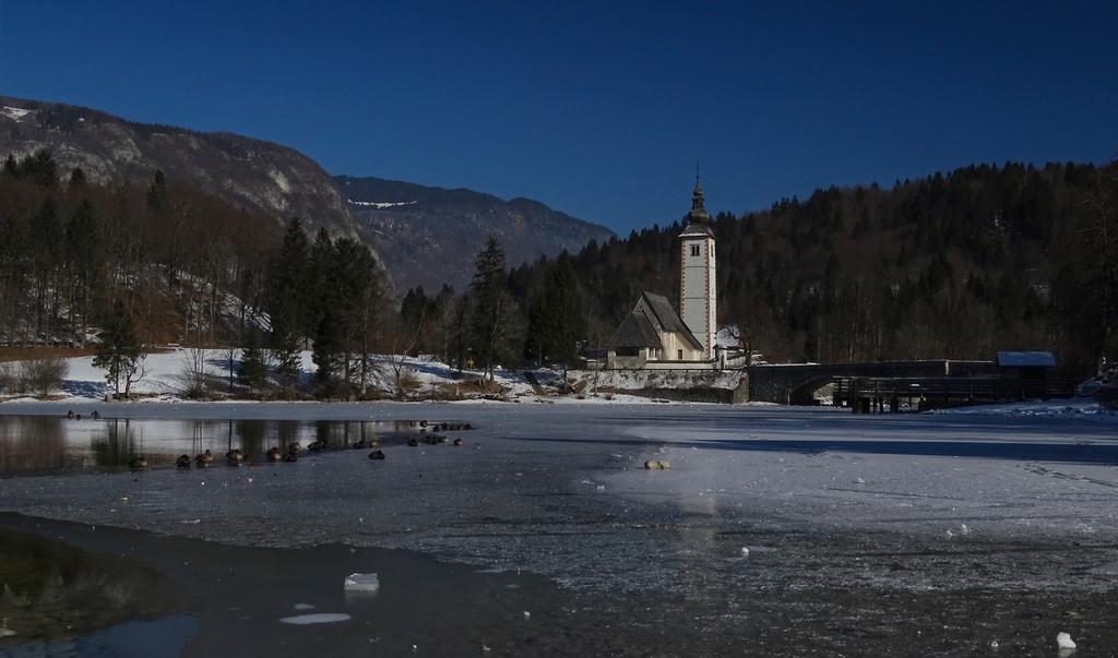 Appartamento Apartmaji Pri Marodnu Bohinj Esterno foto