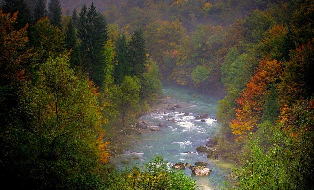 Appartamento Apartmaji Pri Marodnu Bohinj Esterno foto