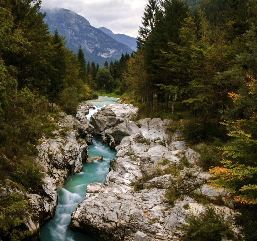 Appartamento Apartmaji Pri Marodnu Bohinj Esterno foto