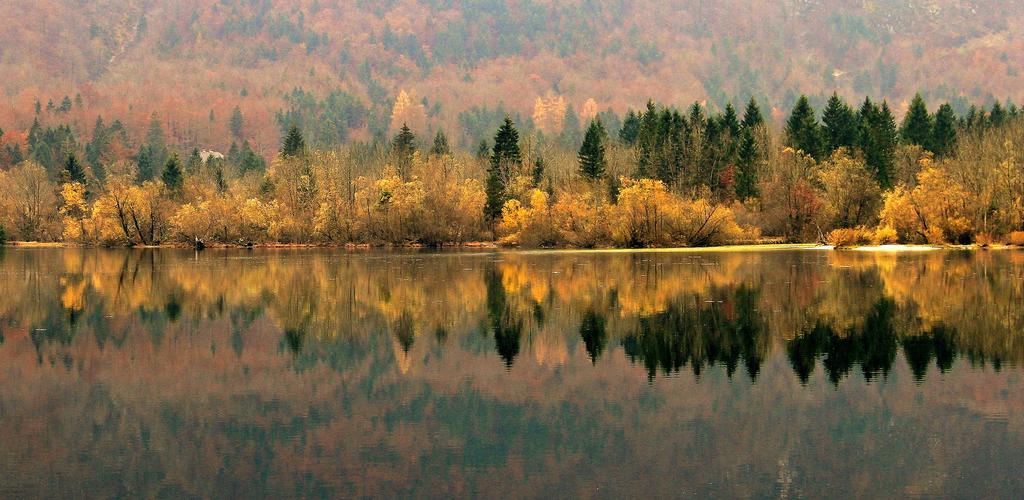 Apartmaji Pri Marodnu Bohinj Esterno foto