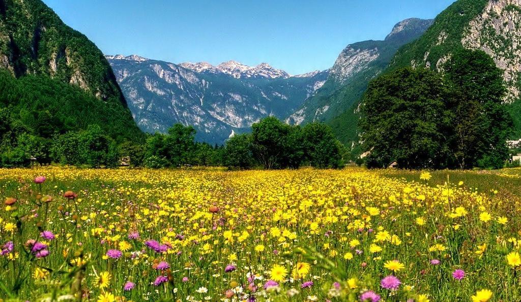 Apartmaji Pri Marodnu Bohinj Esterno foto